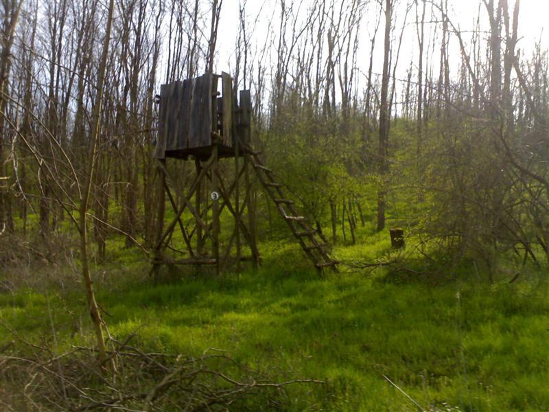 200704091758 .jpg